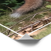 Poster Live with SPUNK (Coin)