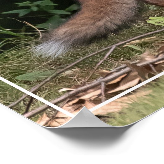 Poster Live with SPUNK (Coin)