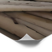 Poster Living Woods (Coin)