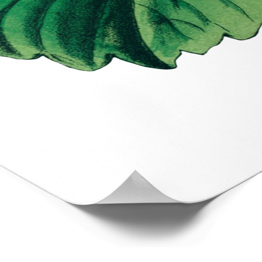 POSTER LIVRAISON (Coin)