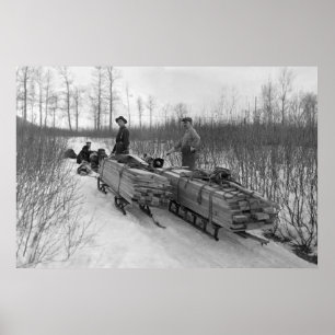 Poster Livraison de traîneau à chiens : 1900