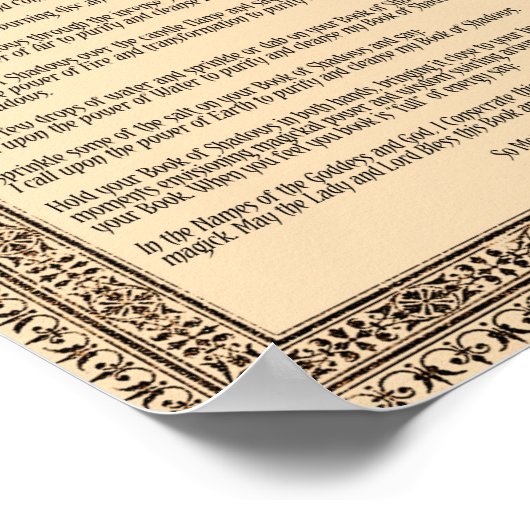 POSTER LIVRE DE CONSÉCURATION OMBRE (Coin)