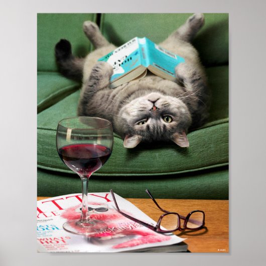 Poster Livre de lecture de chats en haut (Devant)