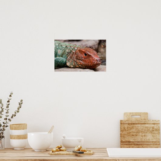 Poster Lizard (Cuisine)