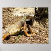 Poster Lizard (Devant)