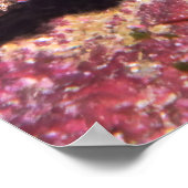 Poster Lizard (Coin)