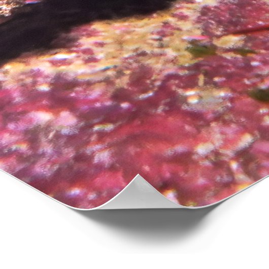 Poster Lizard (Coin)