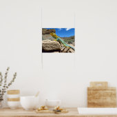 Poster Lizard à collier près de Thompson Springs (Cuisine)
