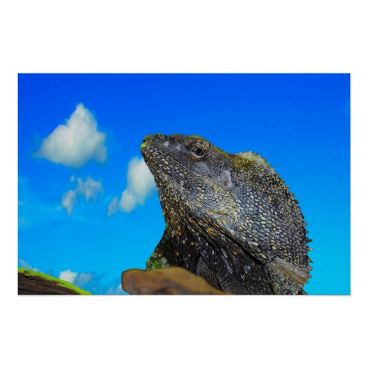 Poster Lizard à cou cassé (Devant)