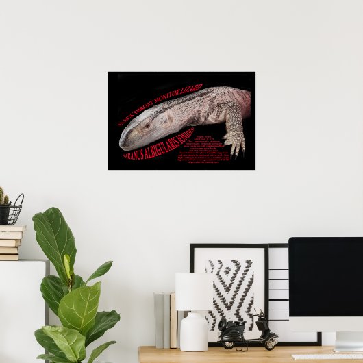 Poster Lizard à écran noir (Bureau à domicile)