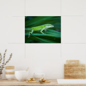 Poster Lizard d'Anole Verte (Cuisine)