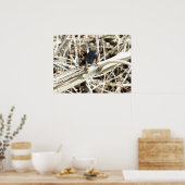 Poster Lizard de clôture du grand bassin à Joshua Tree (Cuisine)