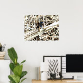 Poster Lizard de clôture du grand bassin à Joshua Tree (Bureau à domicile)