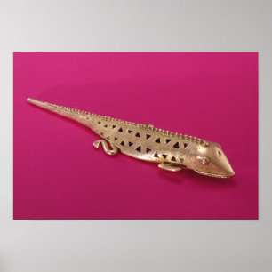 Poster Lizard, de la Colombie