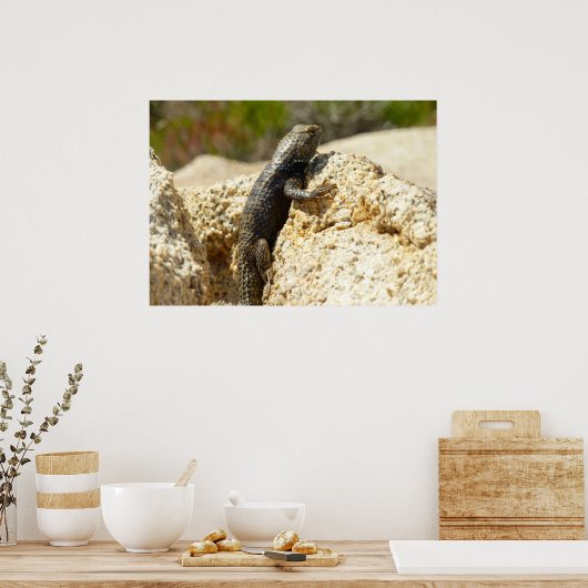 Poster Lizard d'épinette à dos jaune à Joshua Tree (Cuisine)