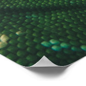 Poster Lizard regarder de près vue (Coin)