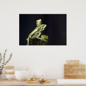 Poster Lizards (Cuisine)