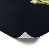 Poster Lizards (Coin)