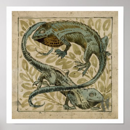 Poster Lizards, conception pour un carrelage (avec papier (Devant)