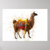 Poster Llama (Devant)
