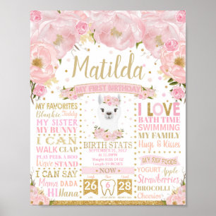 Poster Llama 1er anniversaire étapes importantes panneau