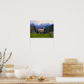 Poster Llama à Machu Picchu, Pérou (Cuisine)