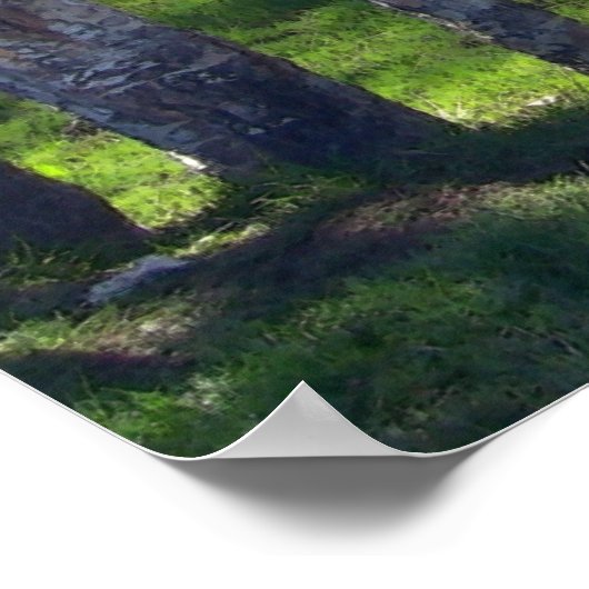 Poster Llama à travers les arbres (Coin)