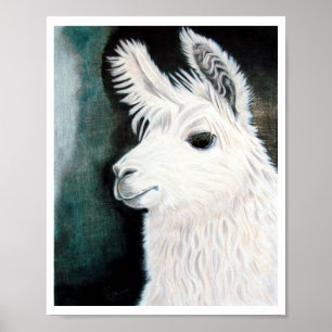 Poster Llama blanche