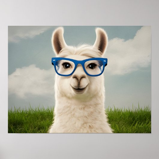 Poster Llama blanche avec lunettes bleues (Devant)