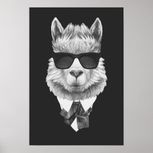 Poster Llama classique