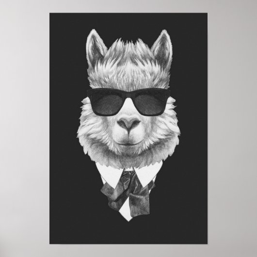 Poster Llama classique (Devant)