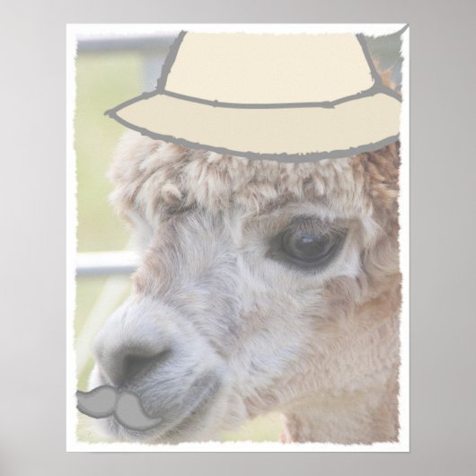 Poster Llama de fête avec moustache (Devant)