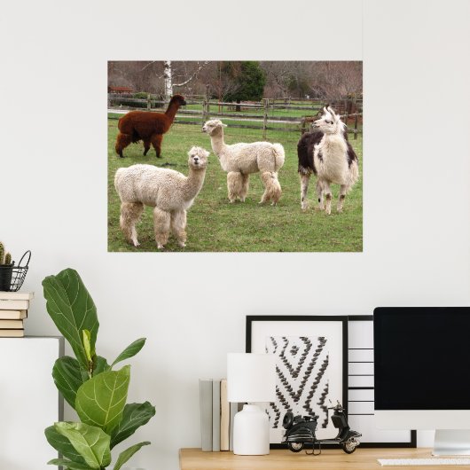 Poster Llama Melange ~ imprimer (Bureau à domicile)