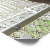 Poster Llama pose pour caméra (Coin)