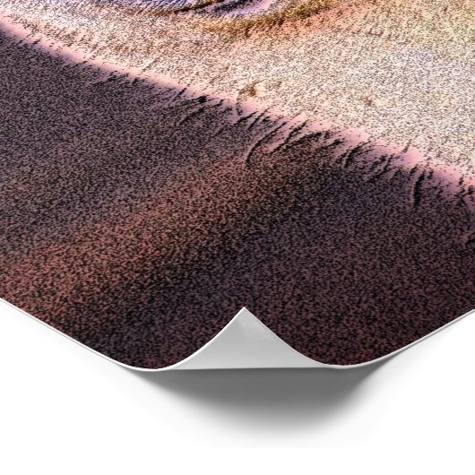 Poster Llama Sleepy Visage Animal Art (Coin)