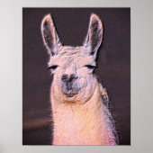 Poster Llama Sleepy Visage Animal Art (Devant)