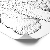 Poster Llasa Apso Chien Adulte Coloration (Coin)