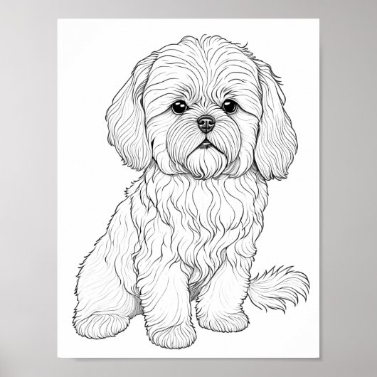 Poster Llasa Apso Chien Adulte Coloration (Devant)