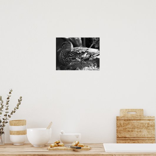 Poster L'observateur (Cuisine)