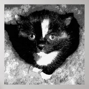 Poster L'observateur silencieux