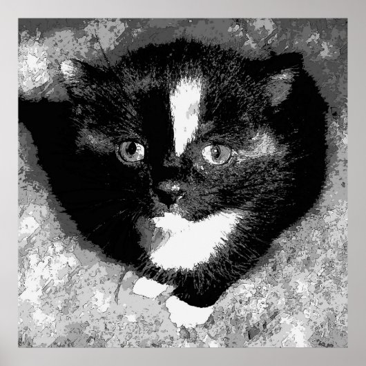 Poster L'observateur silencieux (Devant)