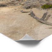 Poster Loch Ard Gorge, Great Ocean Road Australia (Coin)