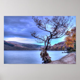 Poster Loch Lomond, Ecosse