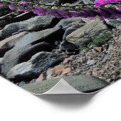 Poster Loch Ness (Coin)