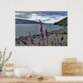 Poster Loch Ness (Cuisine)