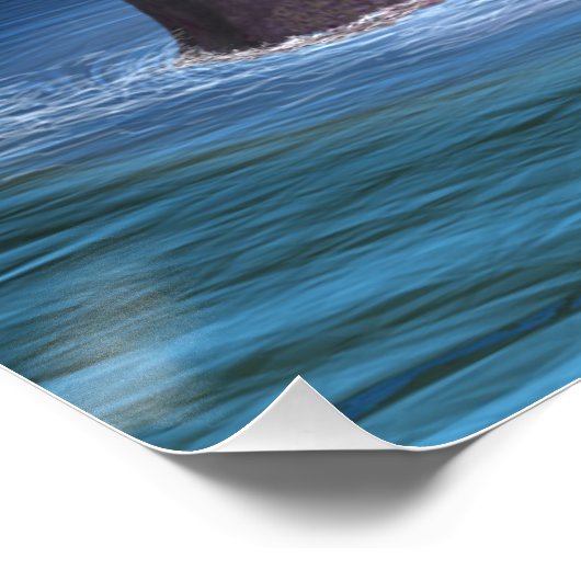 Poster Loch Ness 2 (Coin)