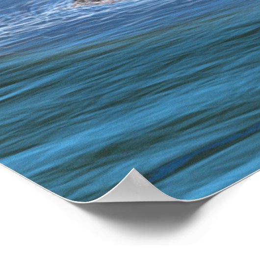 Poster Loch Ness 2 (Coin)