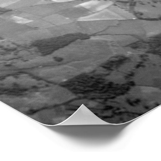 Poster Lockheed P-38 Lightning (Coin)