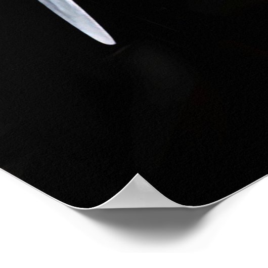 Poster Lockheed Vega 5B, Amelia Earhart (Coin)