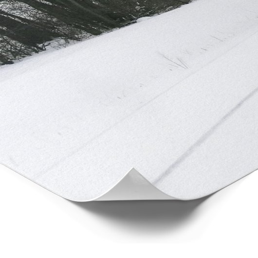 Poster LOCOMOTIVE 180 ROSY MOUND LINE Modifier I (Coin)